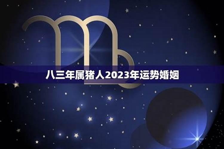 妇女节出生的女孩 日后必有成就？