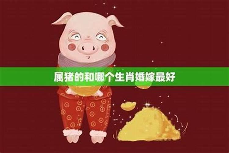 属猪和属猪合婚好不好两个属猪的人婚配好吗