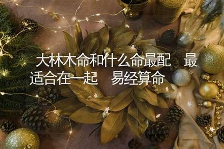 八字合婚大林木命的最佳配偶是什么命