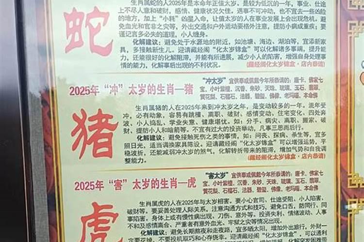 冲太岁是什么意思属蛇