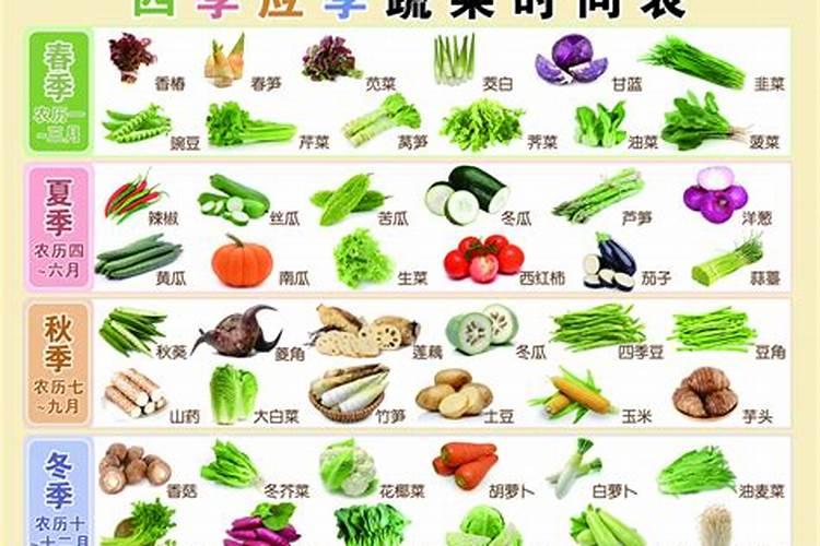 阳历八月份开什么花