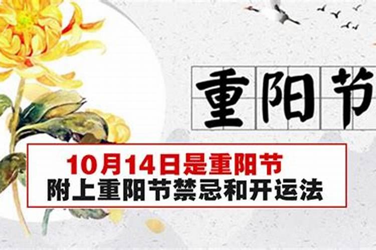 72年鼠在2025年的每月运势