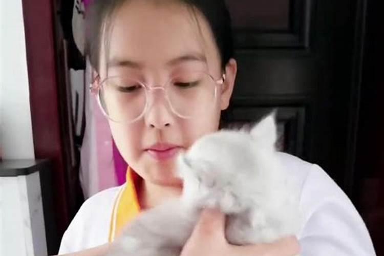 梦见自己抱着只小猫咪的预兆