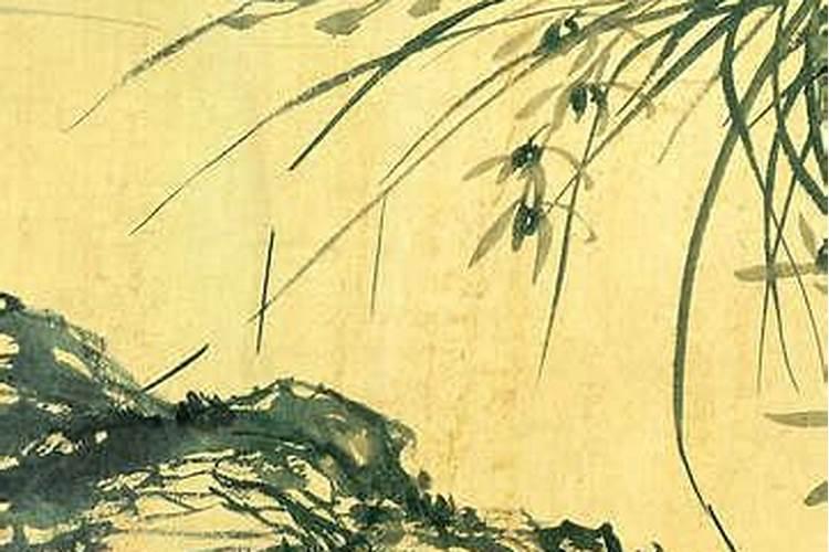 梦见我看着他的背影的预兆