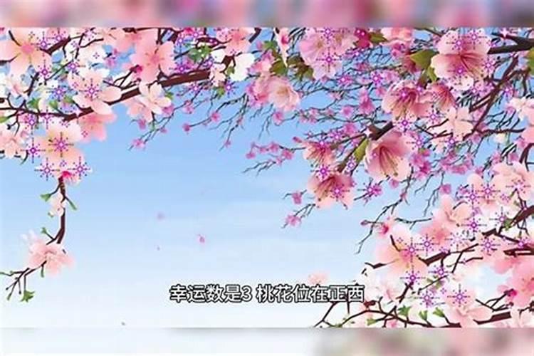 闽南人节日习俗有哪些？