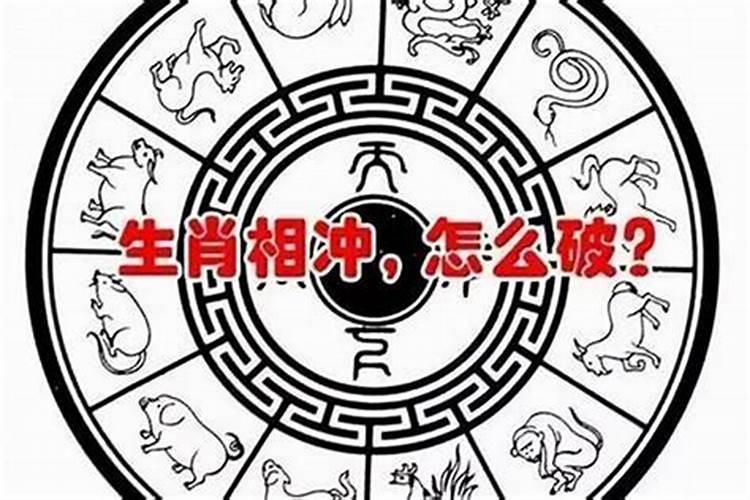 84年属鼠什么命