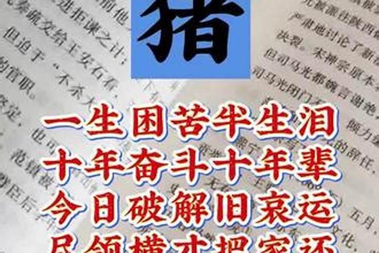 出马仙开马办什么意思