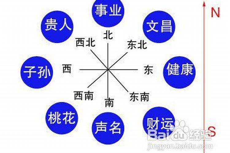 梦到好多🐷？