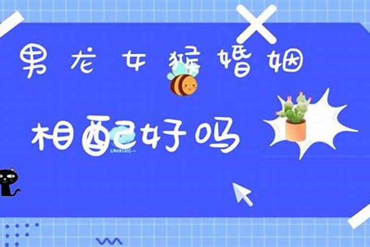 男龙女猴婚姻相配好吗