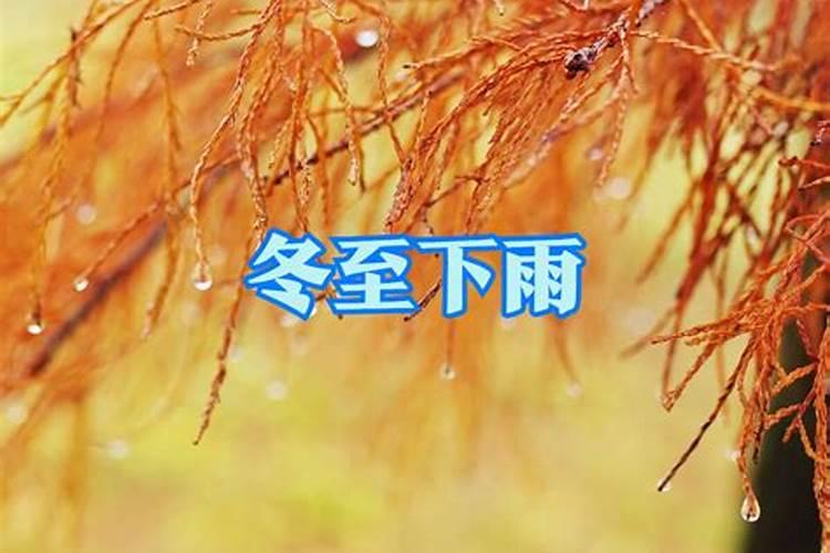 梦见和妈妈吵架大哭的预兆