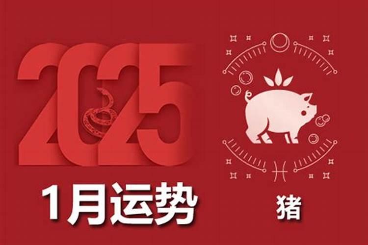 命理学中天干救应的作用是如何影响命主的吉凶祸福