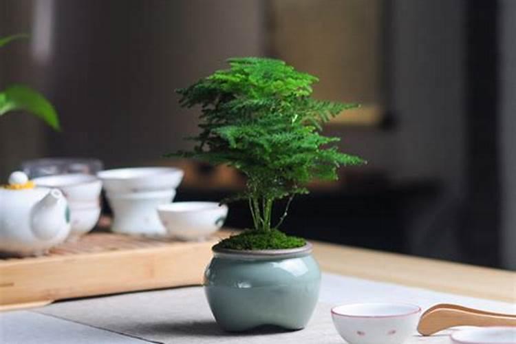 自己化解太岁办法