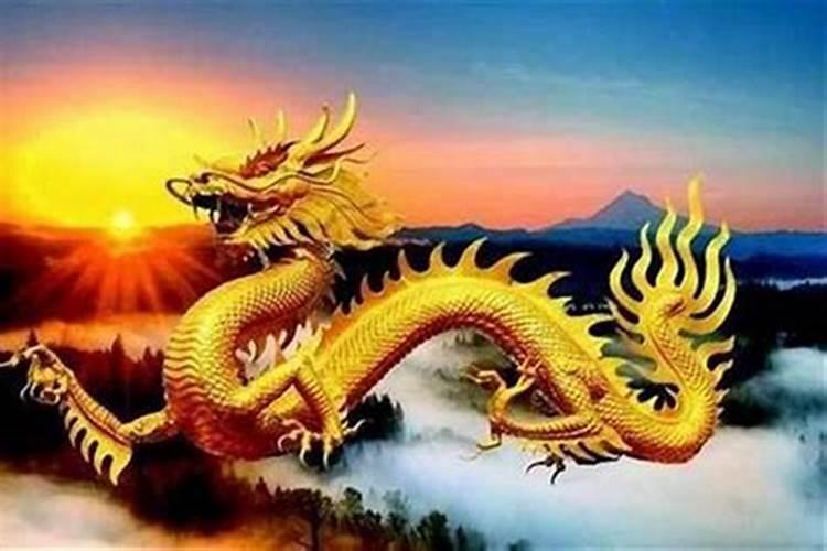 属龙考试运2024年会如何 如何提升考试运