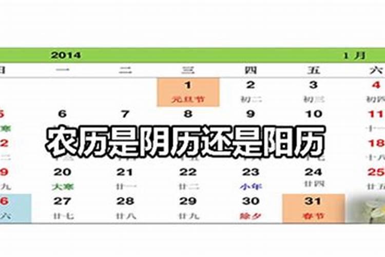 出生日期转换生辰八字对照表