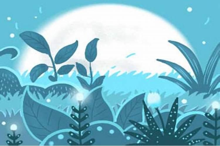 广州端午节去哪里玩比较好
