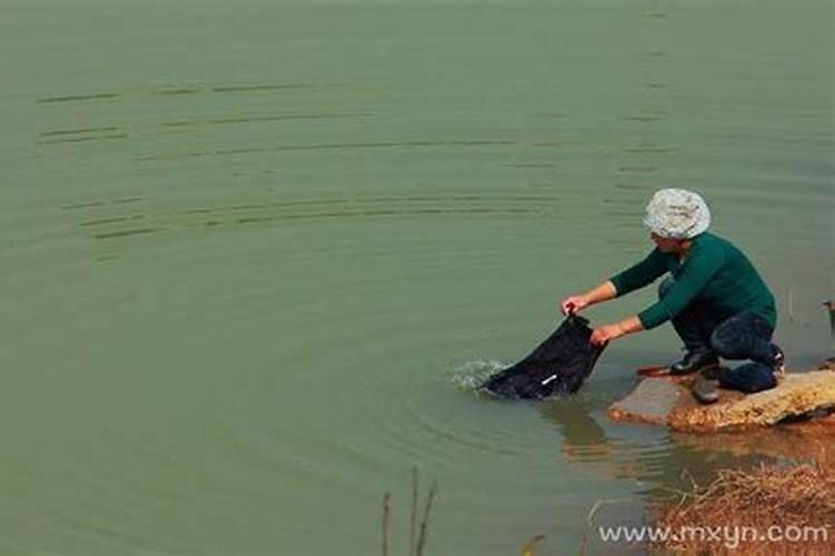梦见洗衣机的水溢出来