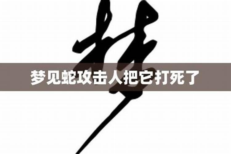 梦见与蛇争执砍了蛇头的预兆