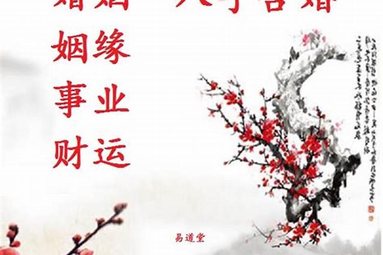 八字配对测试两人姻缘,八字合婚分析婚姻？