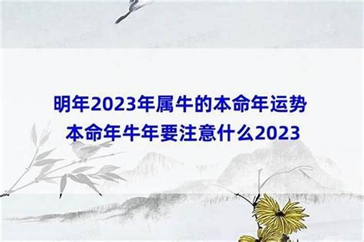 阴阳债怎么计算的？
