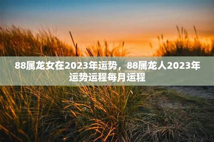 1988年属龙的2025年运势和财运怎么样