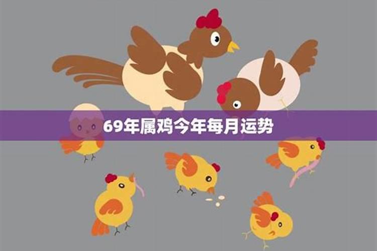 69年属鸡人在2024年的全年运势 1969年属鸡55岁灾难