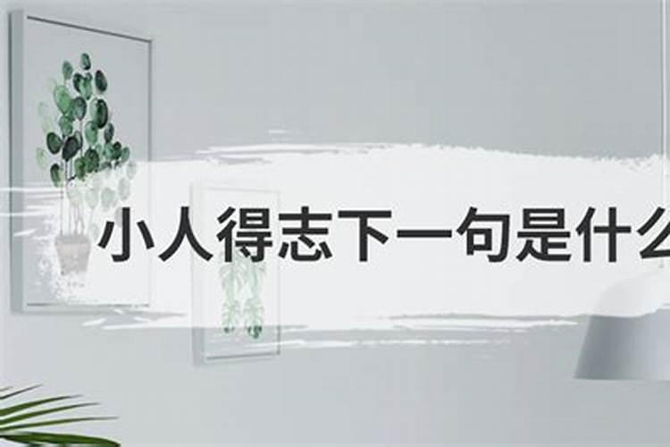 小人得志,得意忘形是什么意思