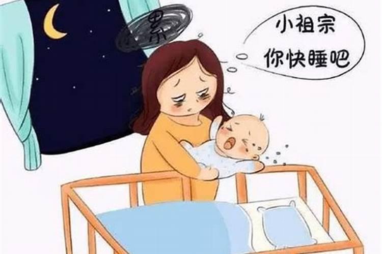 梦见猫在屋里拉屎