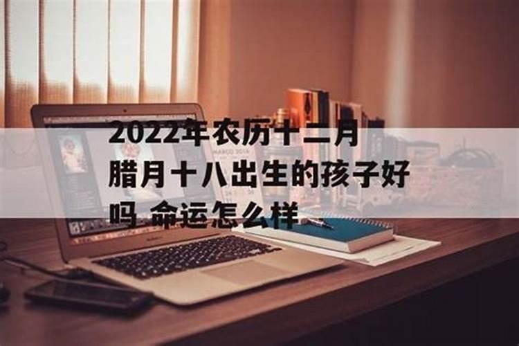 九六年农历十二月十二出生的人的阳历生日是哪一天？求帮算