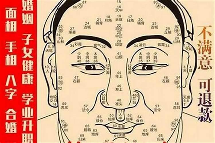 属鸡人2025全年运势 属鸡人2025年每月运势