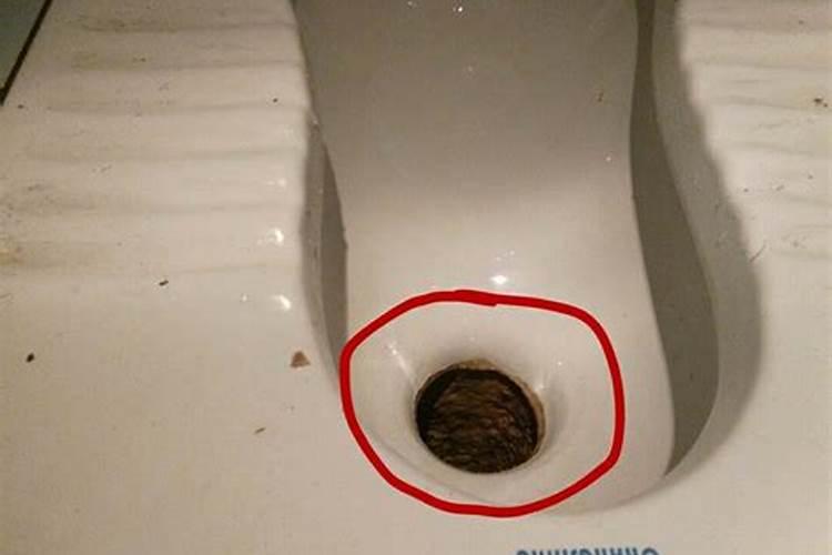 女人梦见蹲坑茅厕很脏