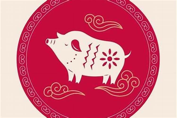 梦见两只白猫抱着我的脚睡觉的预兆