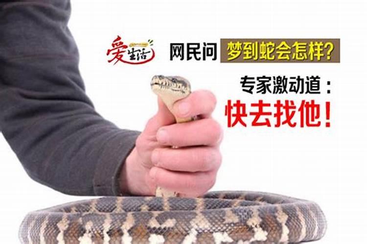 属鼠犯太岁适合带什么