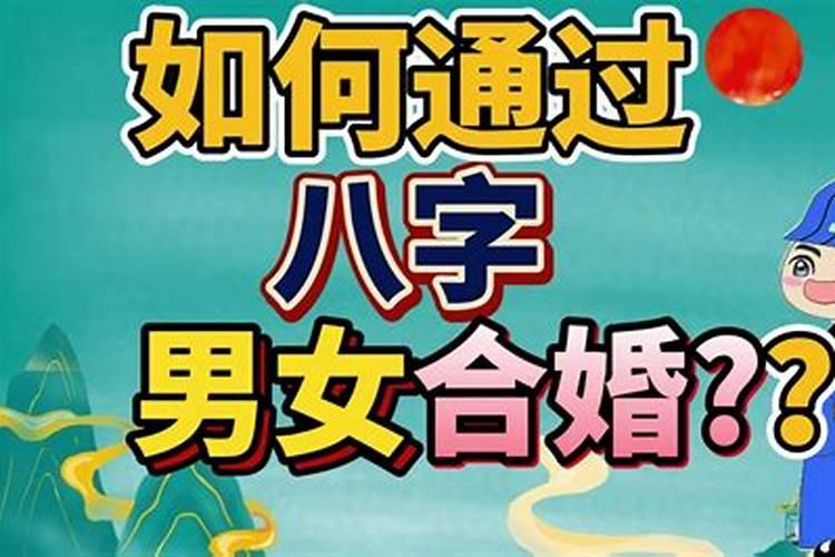 怎么算两个人的生辰八字合不合？