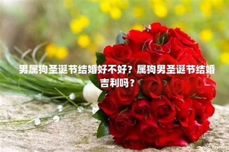 清明节出生的人是什么投胎？命运性格如何？