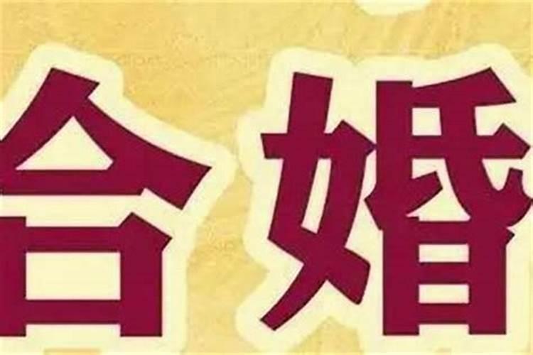 农历九月初九生日命格 9月9出生的孩子命运？