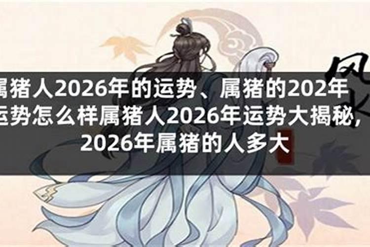 83年属猪2026年运势