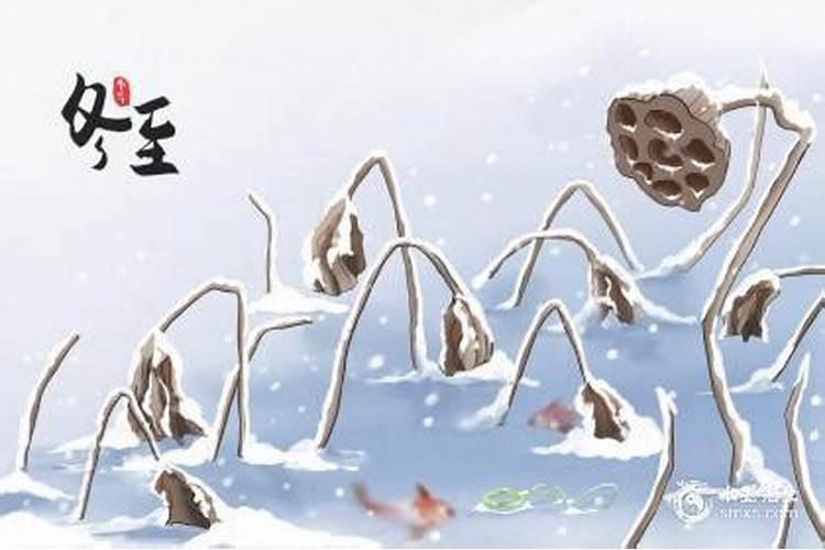 怎样才能提高孩子的学习成绩