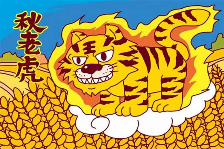 公秋老虎还是母秋老虎热