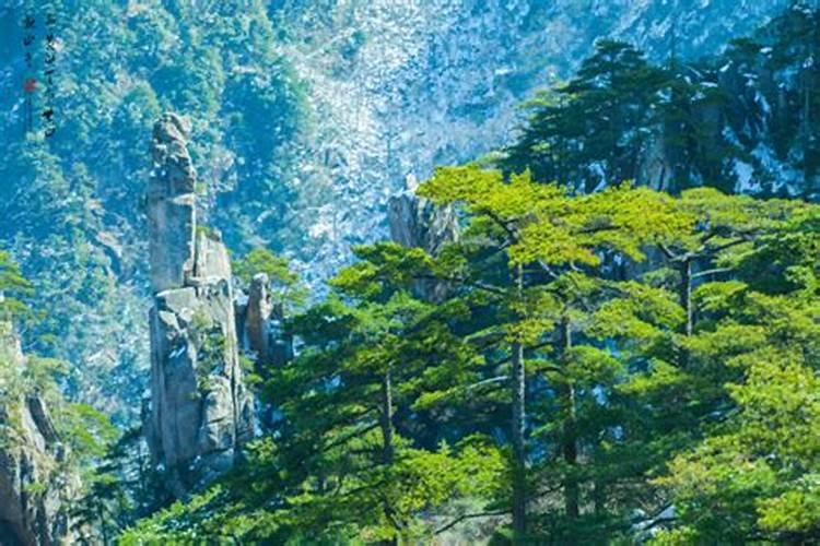 九黄山门票多少钱一张'