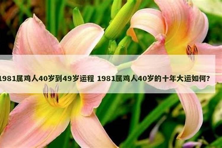 怎么看五行