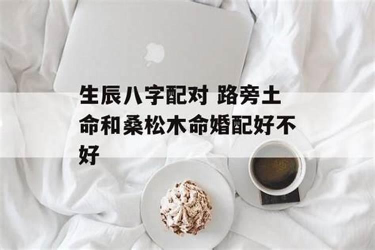 属鼠的桑柘木命的女人,夫妻男属鼠,女属牛都是桑松木命,好吗