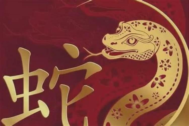 2002年出生的属马人犯太岁大劫 留神亲情劫？