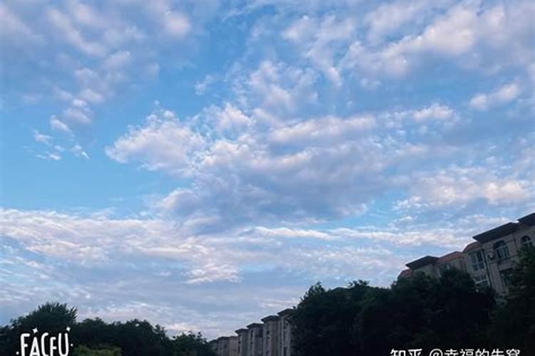 晚上做梦梦见自己有了个新的男朋友还很宠我在冷战？