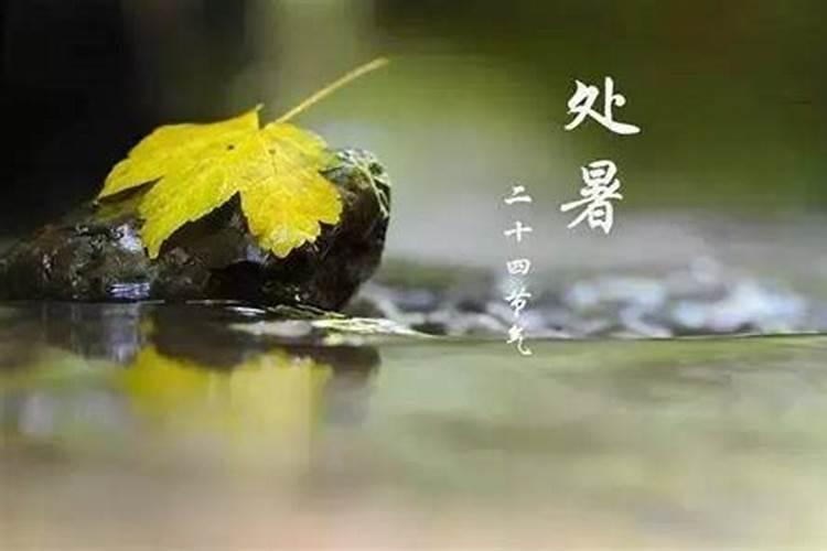 小暑 大暑 立秋 处暑这四个节气是什么时候才有？
