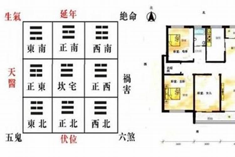 各属相适合住什么方位的房间,十二生肖最旺适合居住楼层