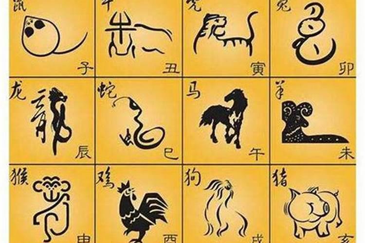 广东人找对象不合八字属相吗？