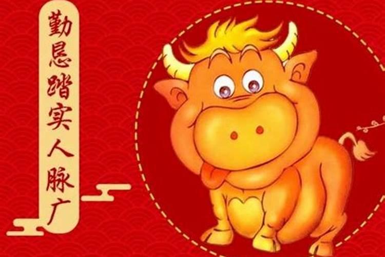 2025年73年属牛人的全年运势如何