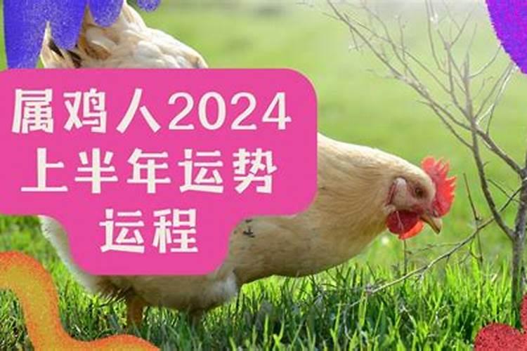 2025属鸡人全年运势如何 属鸡2025年运势及运程