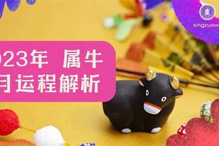 97年农历7月的牛是什么命 命运如何