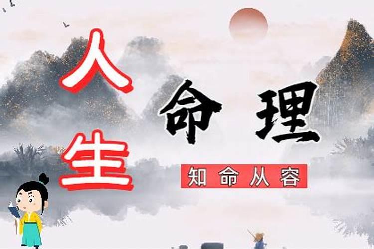 生肖猴的命运不同季节出生的属猴人命运